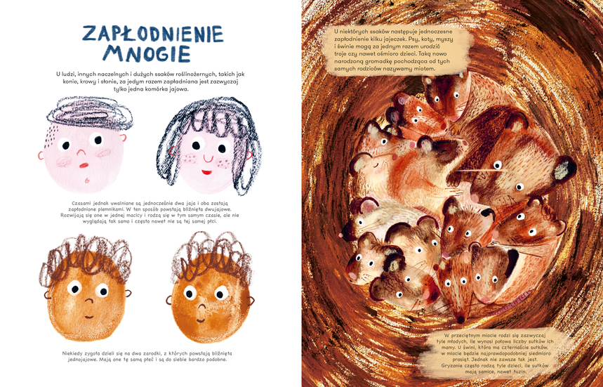 Mama Mammals, interiors