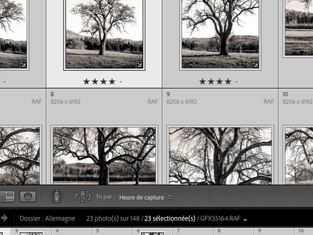 Interface de mon logiciel de classement de mes archives photographiques