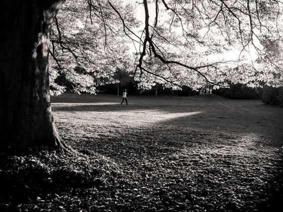 Photo workshop in Saint Germain en Laye