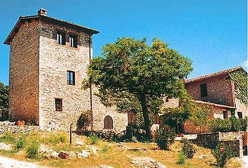 torre copertina.jpg