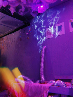 2019-09-14 21_19_02.417.jpg