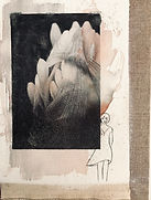 Fototransfer2.jpeg