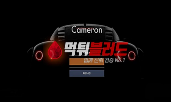 먹튀사이트 카메론 먹튀검증 완료