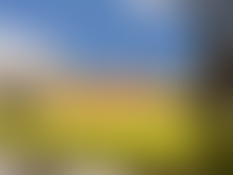 캠퍼스 먹튀사이트 - 먹튀 안전놀이터 토토사이트추천 먹튀검증업체 먹튀블러드