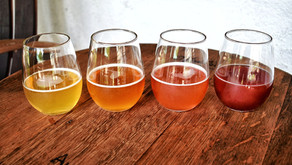 Free Will Brewing