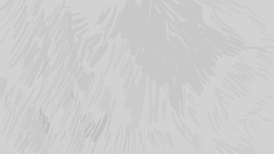 S3-5.gif