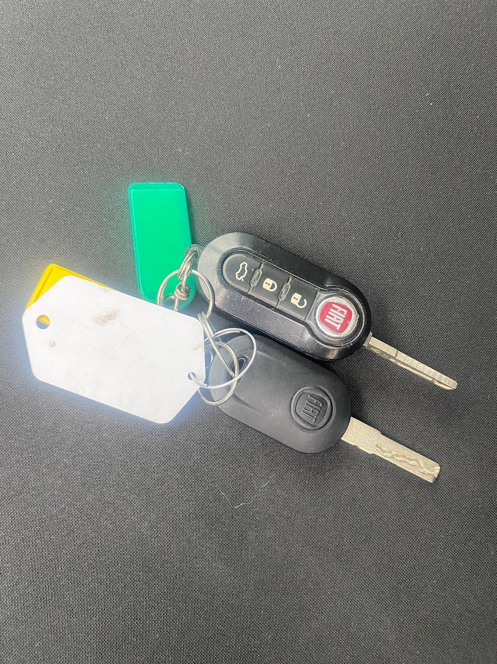 Miniatura: FIAT PANDA 1.2 EASY - 12 MESI GARANZIA