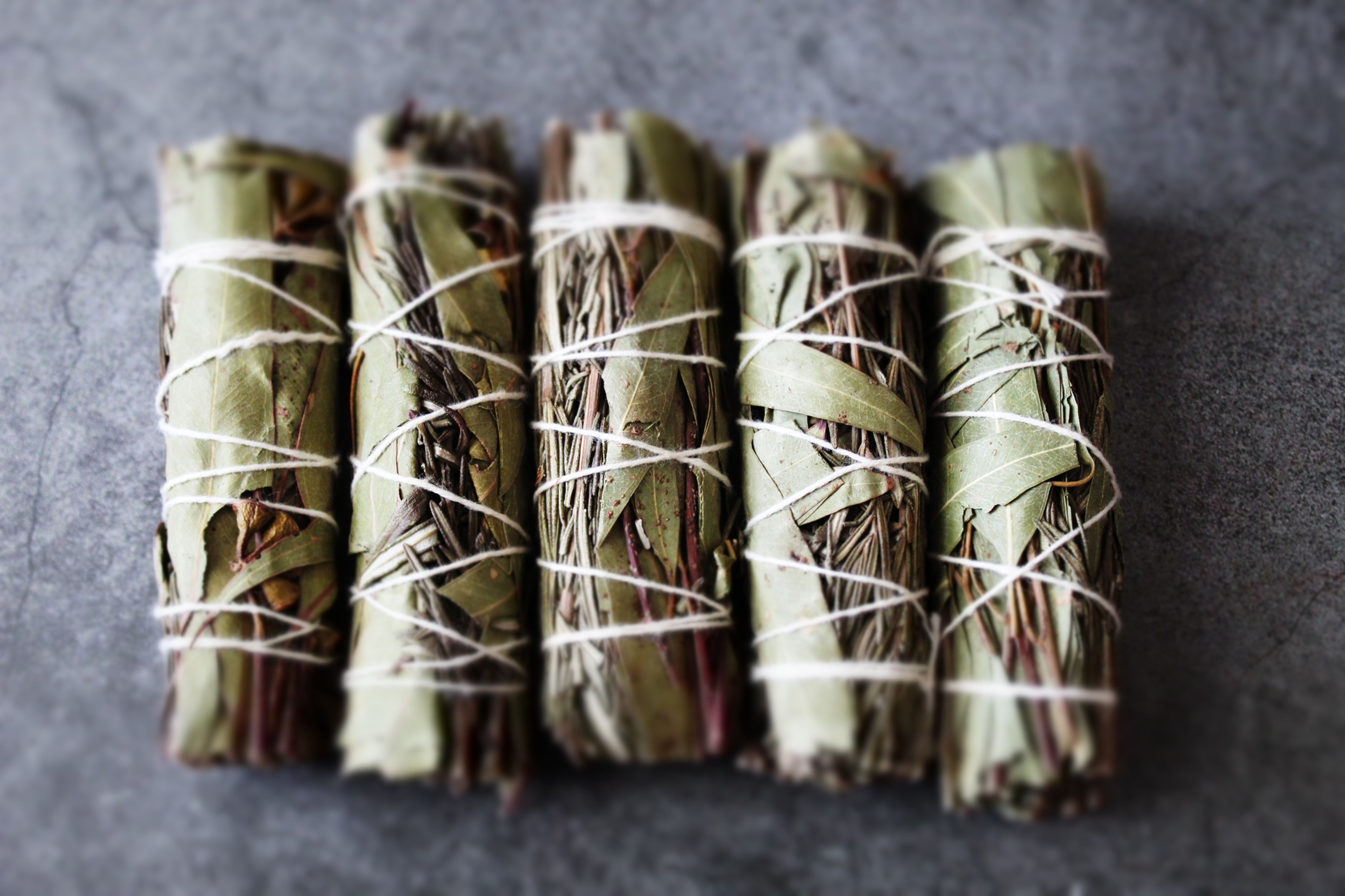 ONE - 4" Eucalyptus Rosemary Sage Stock