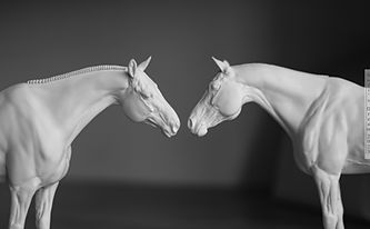 IMG_3021.jpg