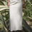 Thumbnail: Polka dot lace trim bow detail midi skirt