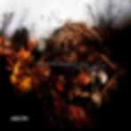 vein.fm new album