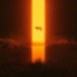Cover Artwork by Kaiwan Shaban