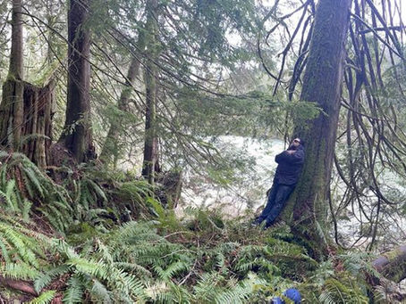 THE LORD (Greg Anderson) announces new album 'Forest Nocturne) + shares lead single