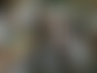 Better Lovers share electrifying power ballad 'At All Times'