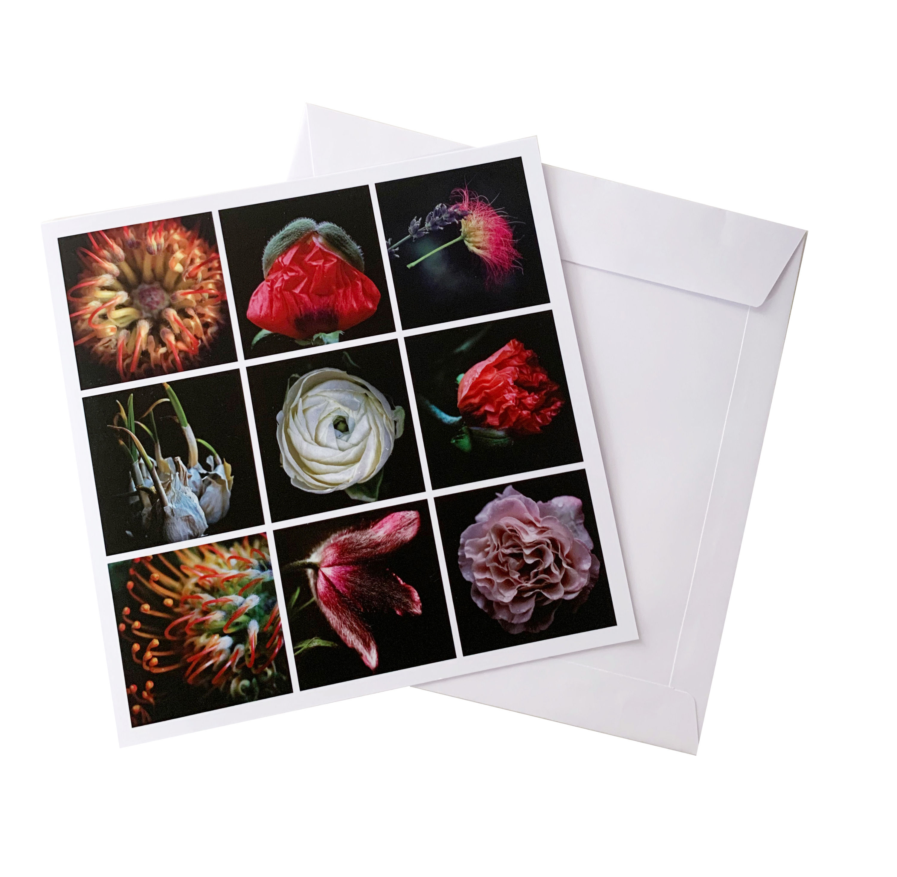 01 Exklusive Klappkarte XXL 21 x 21 cm mit passendem Umschlag