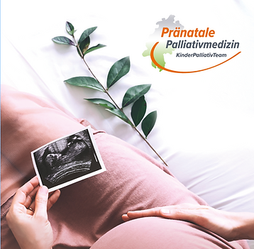 Vorschau der Broschüre "Pränatale Palliativmedizin"