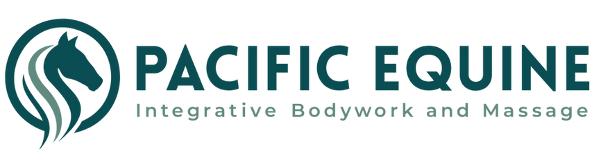 Untitled design (13).png