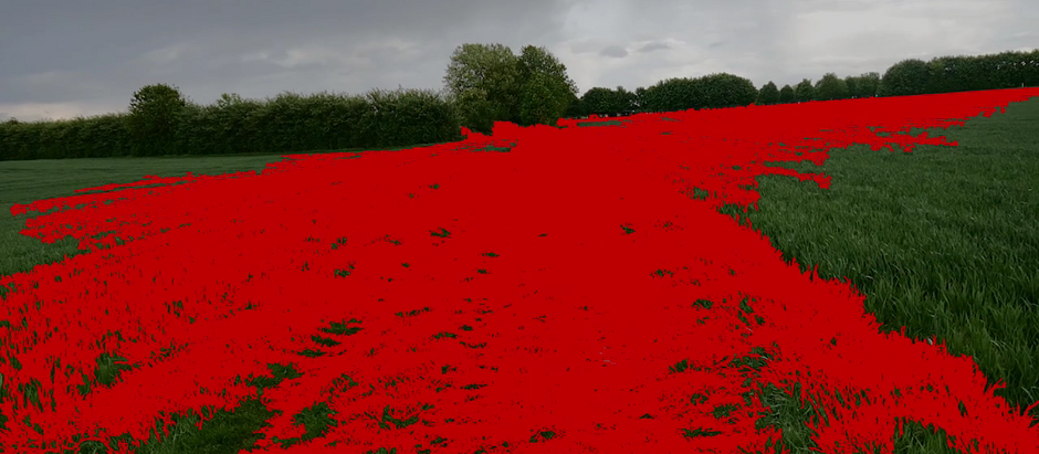 Ephemeral Collaborations / Game Over