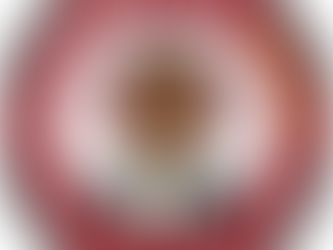 Volunteer Committee Team