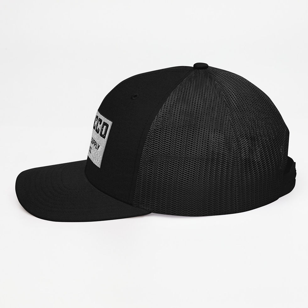 Thumbnail: Snapback Trucker Cap