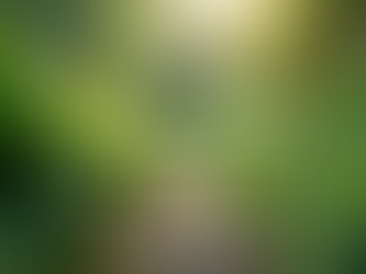 The Importance of Sustainable Living in Today's World