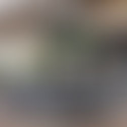 Renovated Florida condominium pool deck and amenity area with updated landscaping and modern finishes