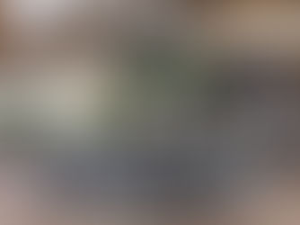 Renovated Florida condominium pool deck and amenity area with updated landscaping and modern finishes