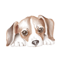 By George Pets Puppy