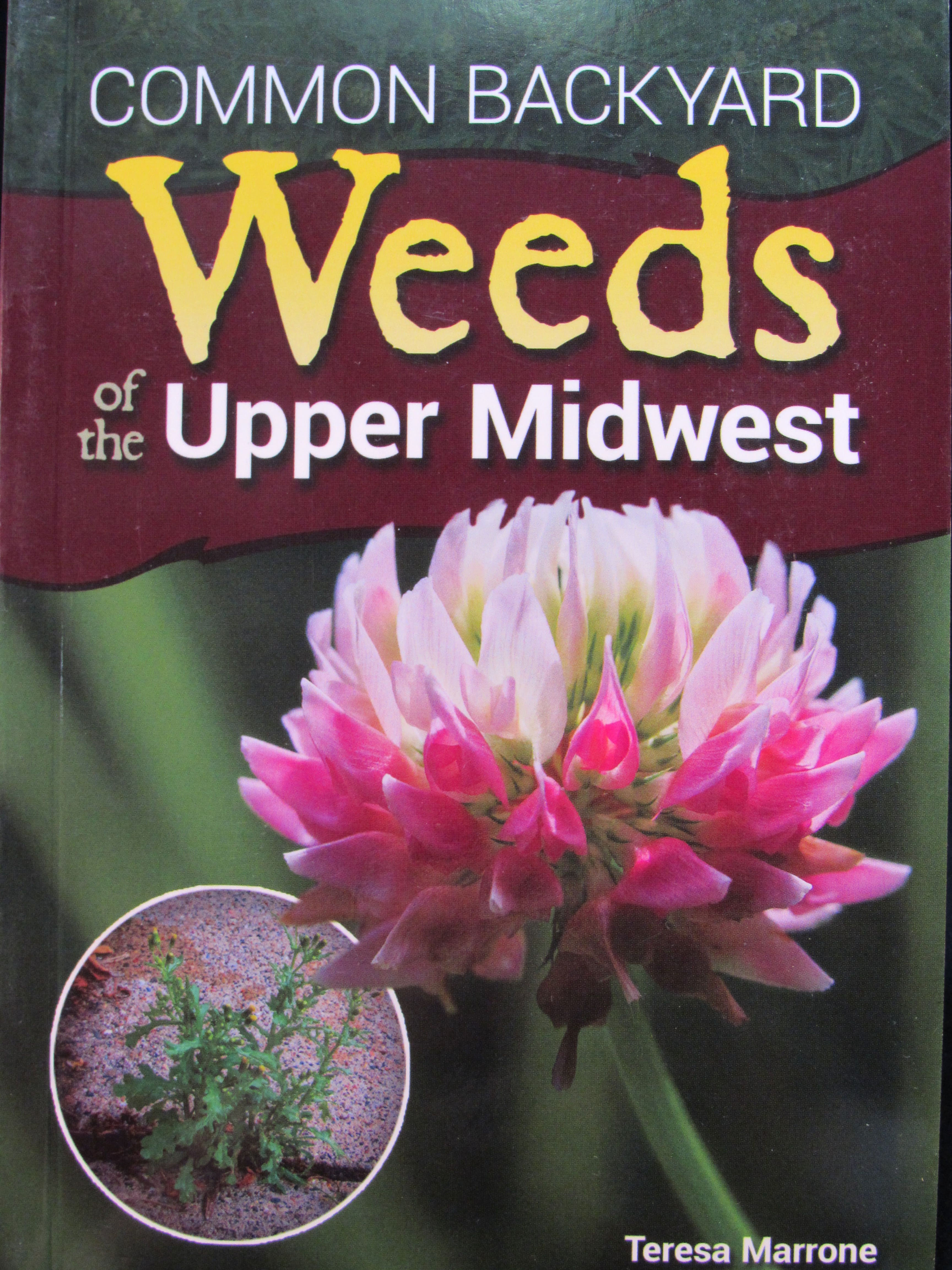 Common Weeds of the Upper Midwest