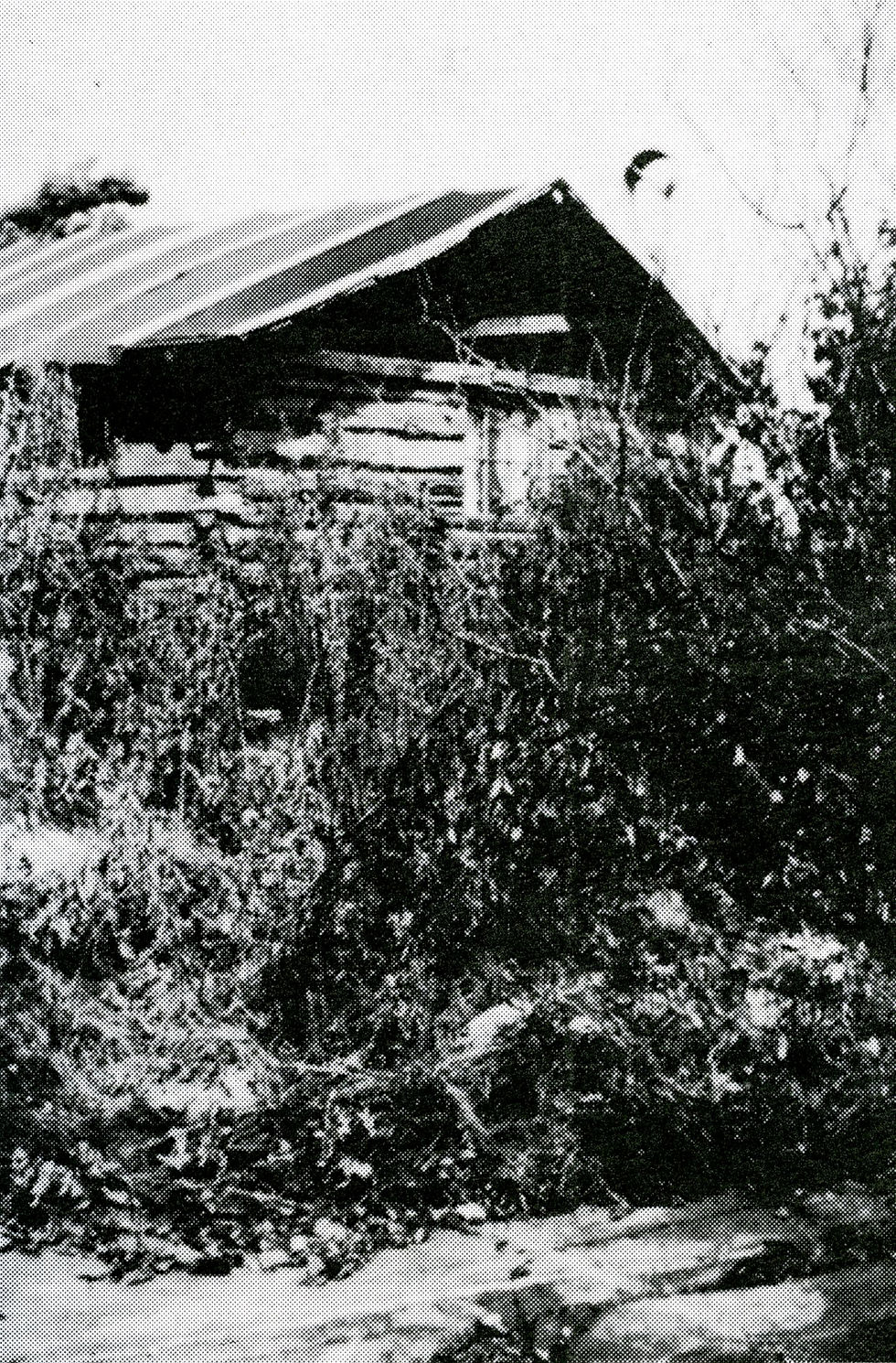 First Log Cabin on McKenzie Point
