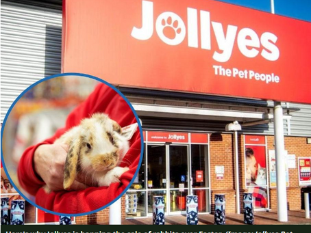Jollyes pet store is banning the sale of rabbits for Easter