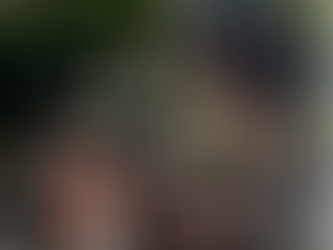 Opening date announced for new £500k Jurassic Pier attraction