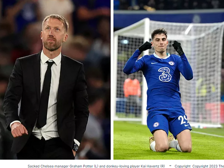 Chelsea's Potter trots off while Kavertz talks donkeys