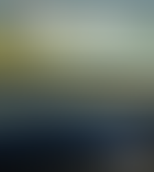 Wawa’s 5-Year Tourism Plan is Completed