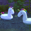 Миниатюра: Funny pool floaties
