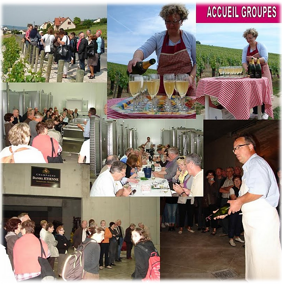 #CHAMPAGNE #CUMIERES #VISITECHAMPAGNE