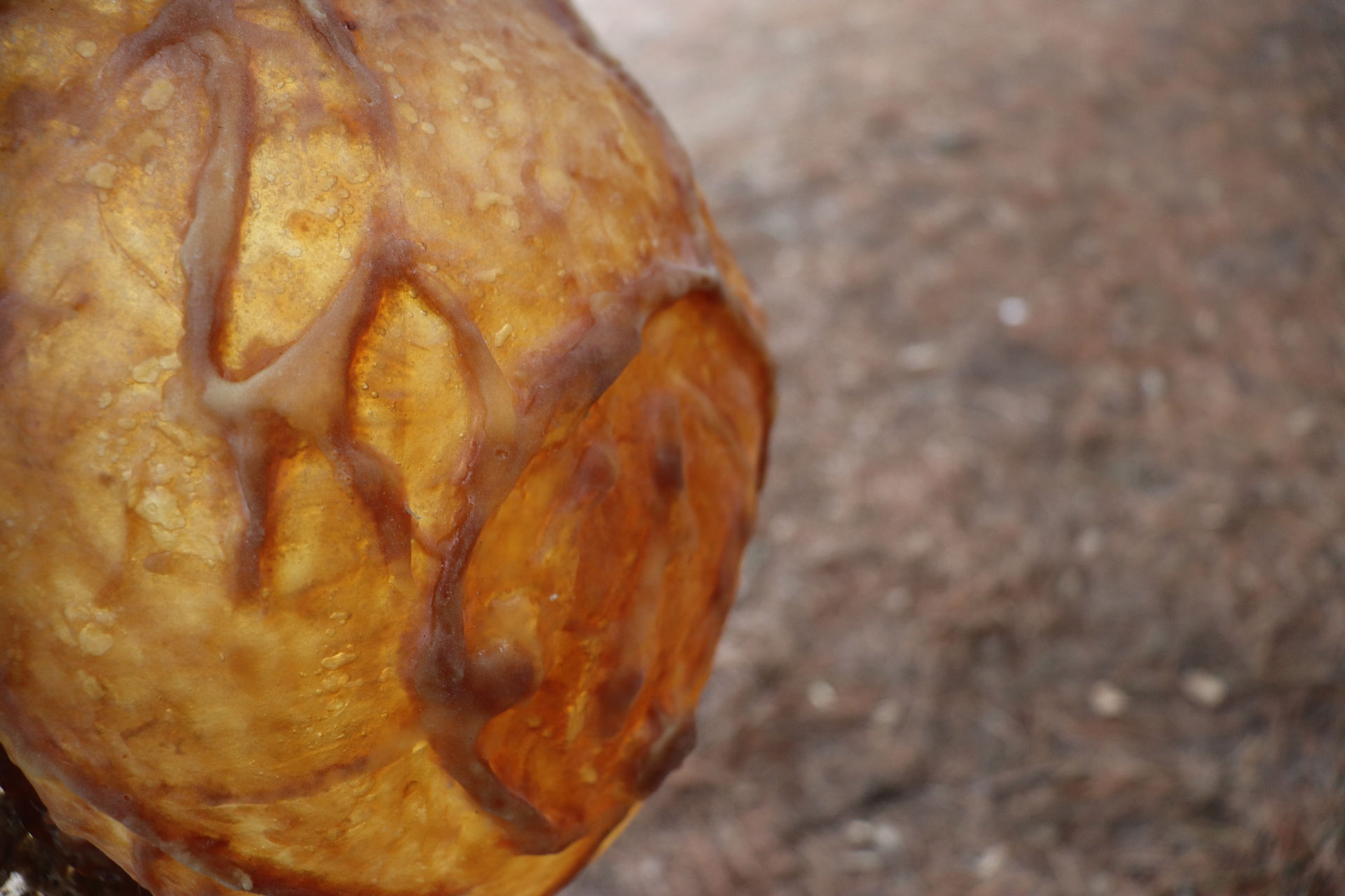 A closeup of the upturned bowl creature shows daylight shining through the thick brown latex, highlighting a circle of thick brown vein structures that extend from the middle of the creature outwards towards the edges. 