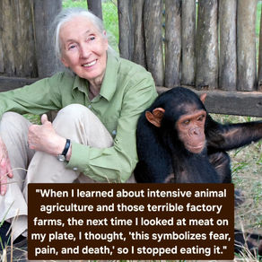 Thank you, Dr Jane Goodall!