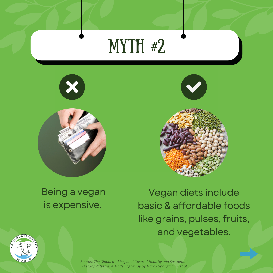 Debunking Some Myths of a Vegan Diet