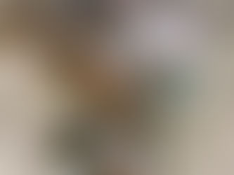 Thank you for successful Broadmoor Holiday Drive! 