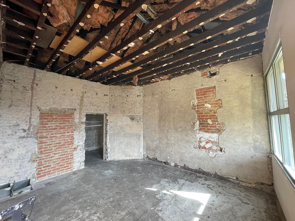 RNT complete strip out.jpeg