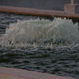 DSCN1038.JPG