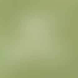 Why Virginia Green Grocer?