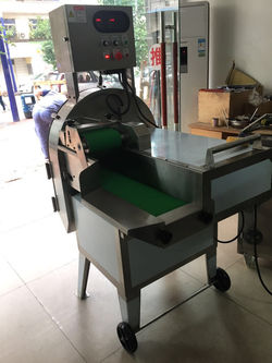 Nut Processor Supplier