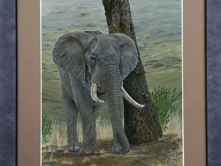 Derbyshire Open Arts 2023