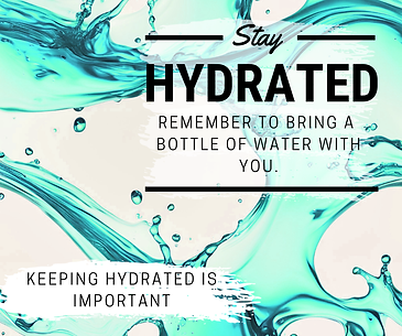 Stay HydratedT.png