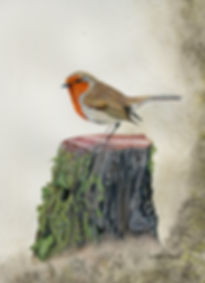 SOLD - Robin by Artist Gaynor Lewis
