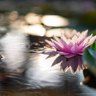 מדיטציה חיבור לאהבה