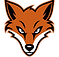 BasketballUjezdNadLesy_FoxHead_FullColor_PDF-web-500x500-oranžová.png