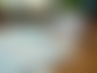 Boost Vocabulary Skills with Our Engaging Tools